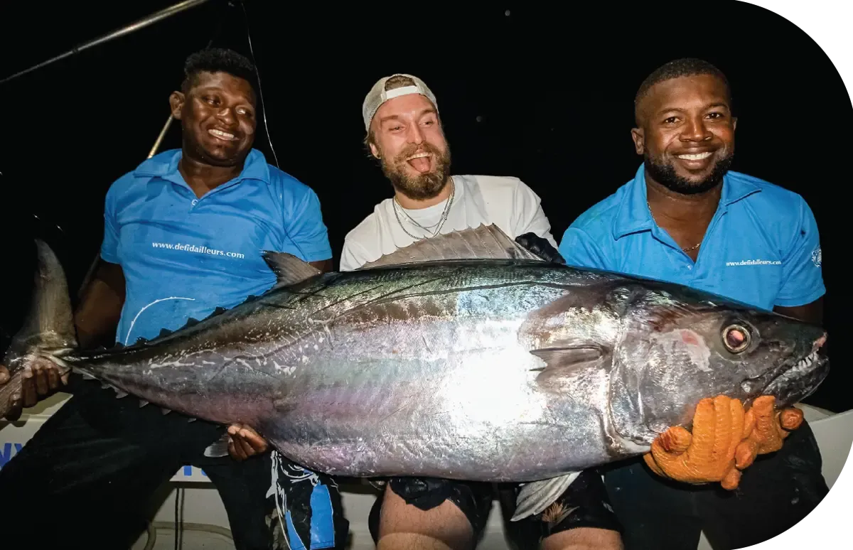 Dogtooth tuna géant pris en jigging à Rodrigues Dogtooth tuna géant pris en jigging à Rodrigues