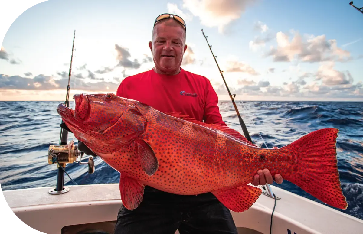 Gros mérou corail pris en jigging à Rodrigues Gros mérou corail pris en jigging à Rodrigues