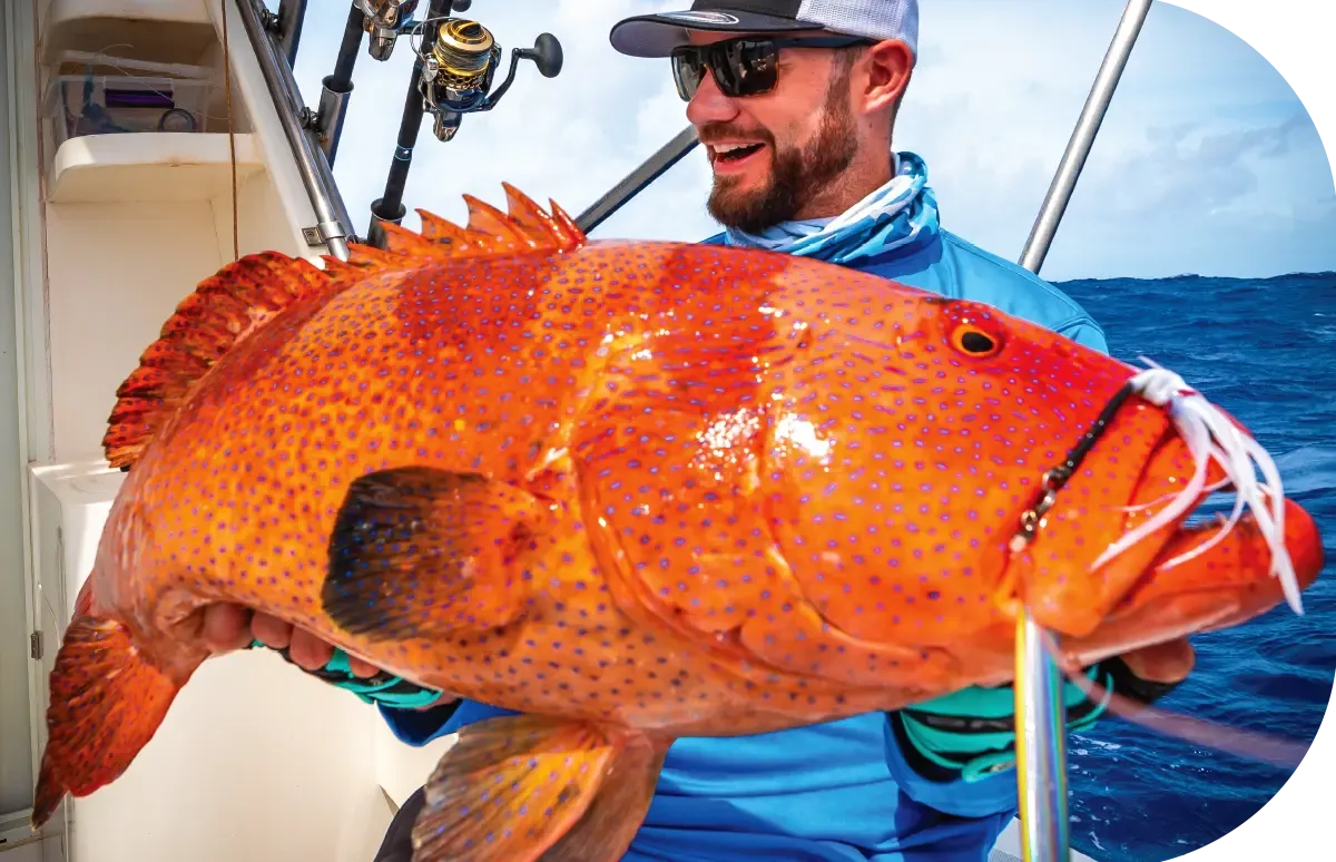 Capture d’un mérou tropical géant en jigging lors d’une pêche sportive à Rodrigues