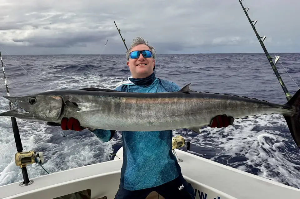 Gros barracuda capturé en jigging lors d’une sortie de pêche sportive à Rodrigues Gros barracuda capturé en jigging lors d’une sortie de pêche sportive à Rodrigues