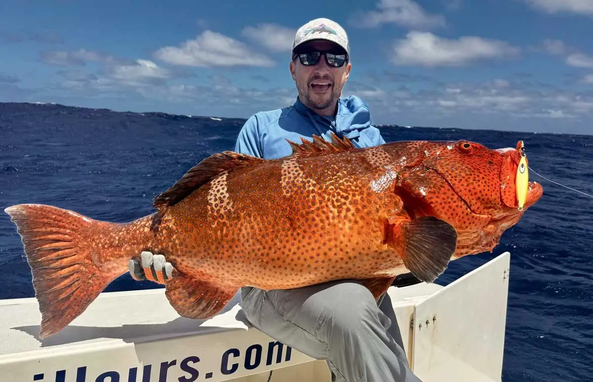 Gros mérou corail pris en jigging à Rodrigues