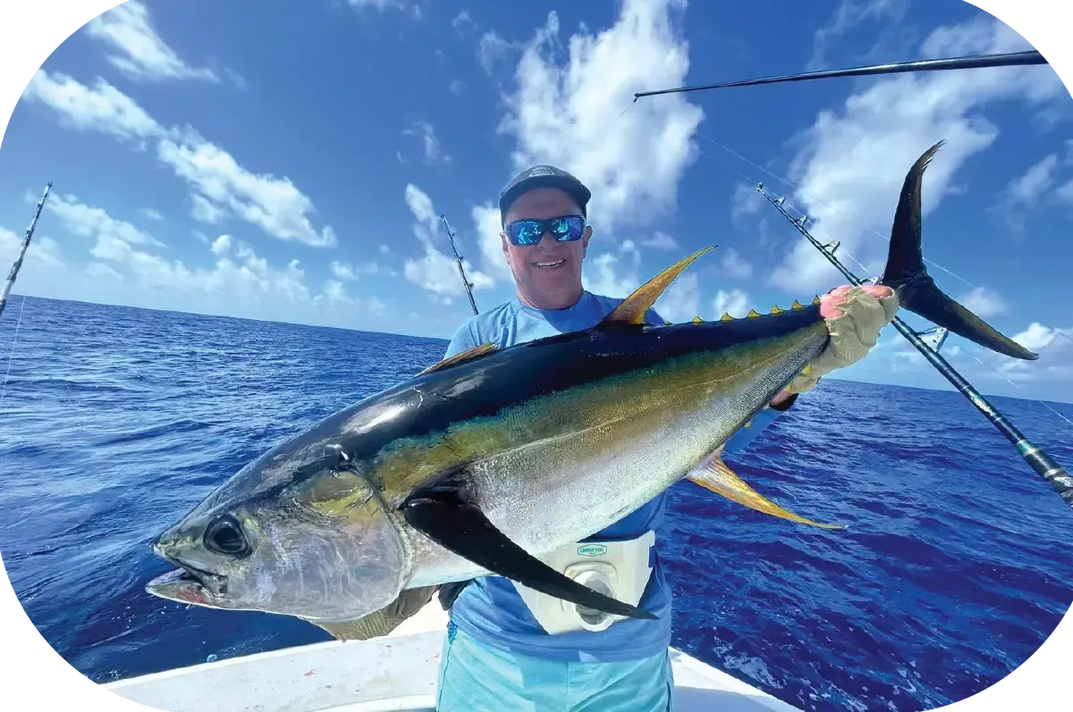 Gros thon jaune pris en pêche sportive à Rodrigues Gros thon jaune pris en pêche sportive à Rodrigues